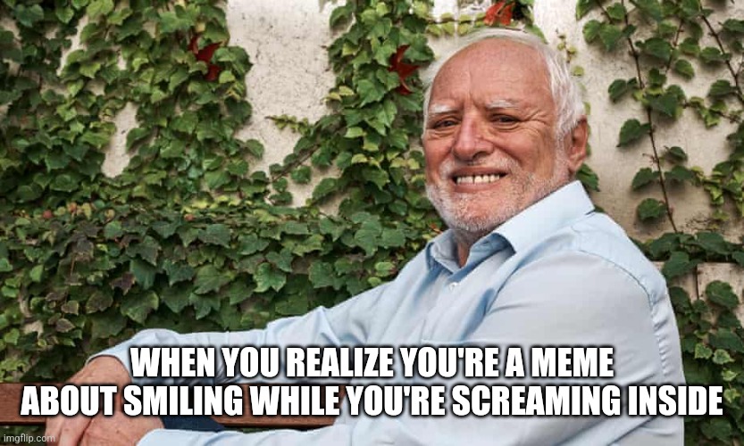I think his face just does that |  WHEN YOU REALIZE YOU'RE A MEME ABOUT SMILING WHILE YOU'RE SCREAMING INSIDE | image tagged in hide the pain harold 2 | made w/ Imgflip meme maker