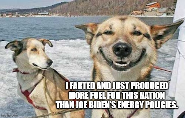 Yep. | I FARTED AND JUST PRODUCED MORE FUEL FOR THIS NATION THAN JOE BIDEN'S ENERGY POLICIES. | image tagged in original stoner dog | made w/ Imgflip meme maker