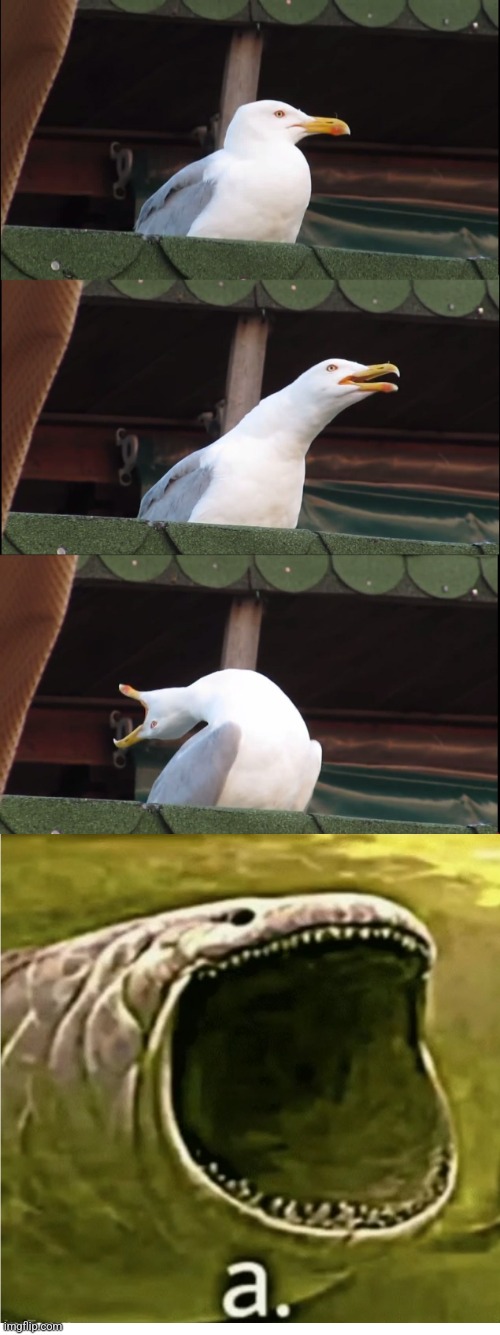 Gen z humor | image tagged in memes,inhaling seagull,fish,seagull,a | made w/ Imgflip meme maker