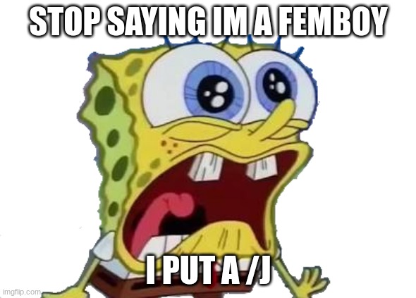 Spongebob Screaming and Crying PNG | STOP SAYING IM A FEMBOY; I PUT A /J | image tagged in spongebob screaming and crying png | made w/ Imgflip meme maker