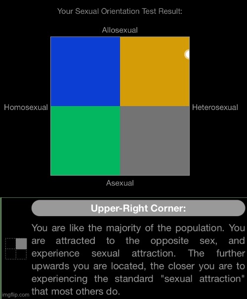 100% not gay | made w/ Imgflip meme maker