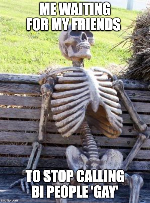sure it's like half gay but still |  ME WAITING FOR MY FRIENDS; TO STOP CALLING BI PEOPLE 'GAY' | image tagged in memes,waiting skeleton | made w/ Imgflip meme maker