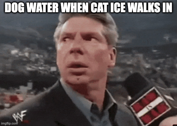 dog water | DOG WATER WHEN CAT ICE WALKS IN | image tagged in when walks in | made w/ Imgflip meme maker