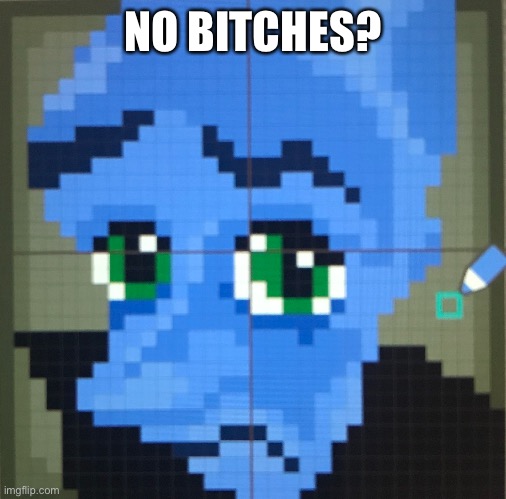 NO BITCHES? | made w/ Imgflip meme maker