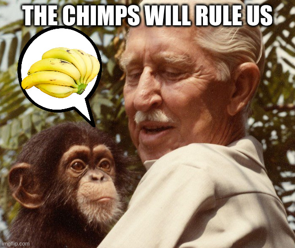 Cornelius | THE CHIMPS WILL RULE US | image tagged in cornelius | made w/ Imgflip meme maker