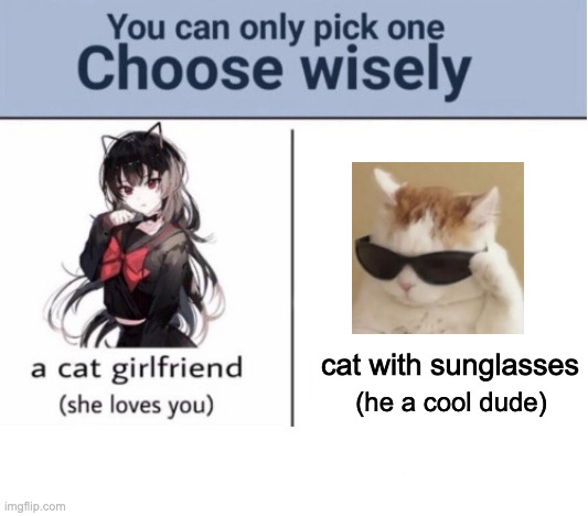 haha |  cat with sunglasses; (he a cool dude) | image tagged in choose wisely | made w/ Imgflip meme maker