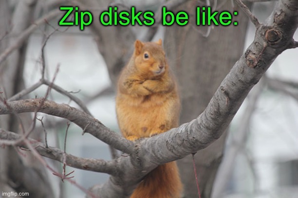 Zip disks be like: | made w/ Imgflip meme maker