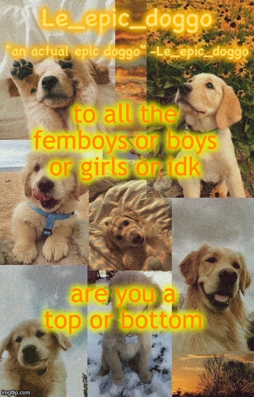Doggo temp by doggo. Wait what that’s confusing | to all the femboys or boys or girls or idk; are you a top or bottom | image tagged in doggo temp by doggo wait what that s confusing | made w/ Imgflip meme maker