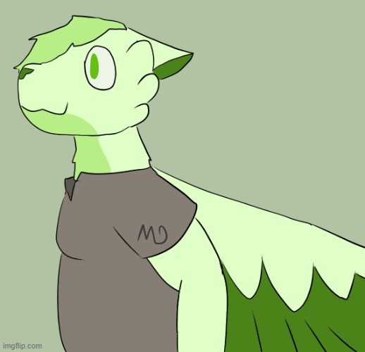 I drew oat, it's not that good but It's fine. (my art and character) | image tagged in furry,art,drawings,birds,cats | made w/ Imgflip meme maker