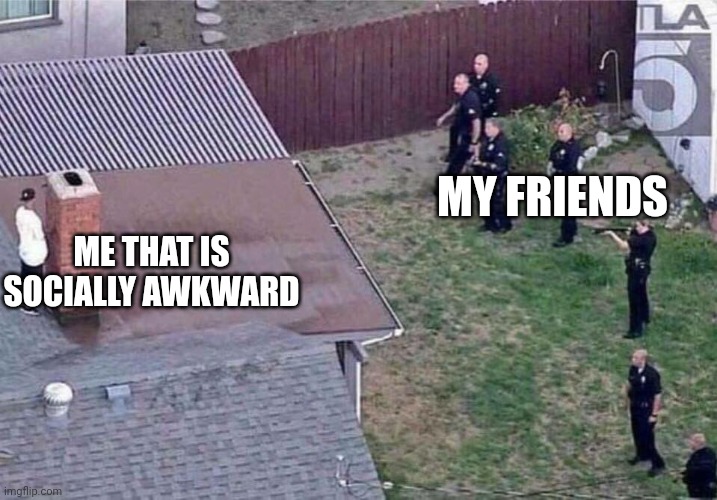 Awkwardness | ME THAT IS SOCIALLY AWKWARD; MY FRIENDS | image tagged in funny memes | made w/ Imgflip meme maker