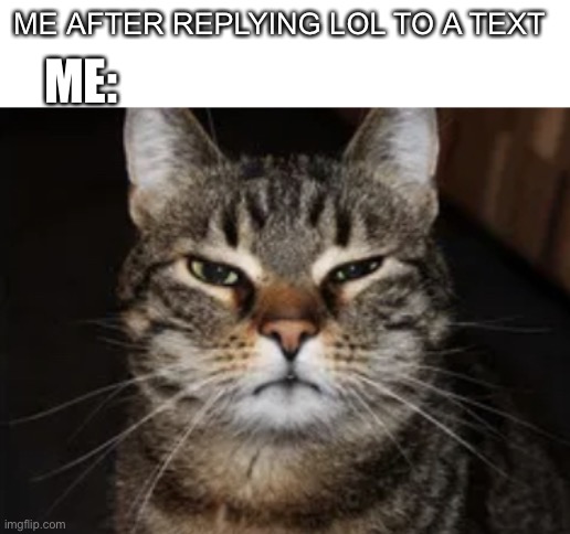 Grumpy cat | ME AFTER REPLYING LOL TO A TEXT; ME: | image tagged in grumpy cat | made w/ Imgflip meme maker