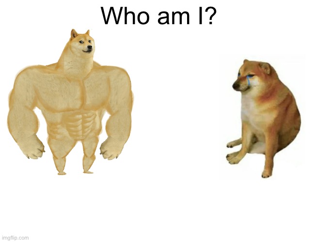 Buff Doge vs. Cheems Meme | Who am I? | image tagged in memes,buff doge vs cheems | made w/ Imgflip meme maker