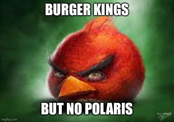 Moscow Houston Texas Paris | BURGER KINGS; BUT NO POLARIS | image tagged in realistic red angry birds | made w/ Imgflip meme maker