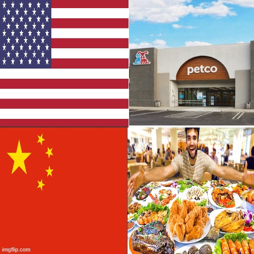 Asian Petco | image tagged in offensive,asian | made w/ Imgflip meme maker