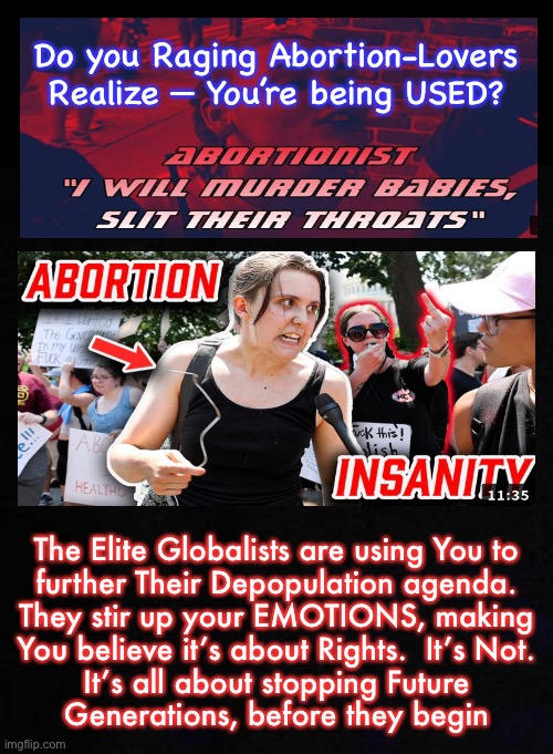 Simple Minds are Easily Manipulated.  THEY Just Trigger Your EMOTIONS.  Unable to Think beyond your Emotions, you just Freak Out | Do you Raging Abortion-Lovers
Realize — You’re being USED? The Elite Globalists are using You to
further Their Depopulation agenda.
They stir up your EMOTIONS, making
You believe it’s about Rights.  It’s Not.
It’s all about stopping Future
Generations, before they begin | image tagged in memes,abortion,sheep are easy to manipulate,so are programmable robots,push a button n they freak out,we need the off switch | made w/ Imgflip meme maker
