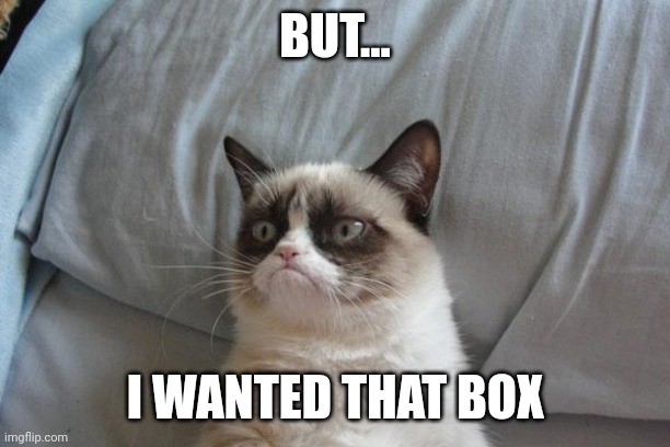 Grumpy Cat Bed Meme | BUT... I WANTED THAT BOX | image tagged in memes,grumpy cat bed,grumpy cat | made w/ Imgflip meme maker