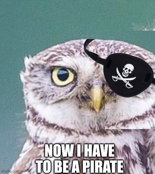 NOW I HAVE TO BE A PIRATE | made w/ Imgflip meme maker