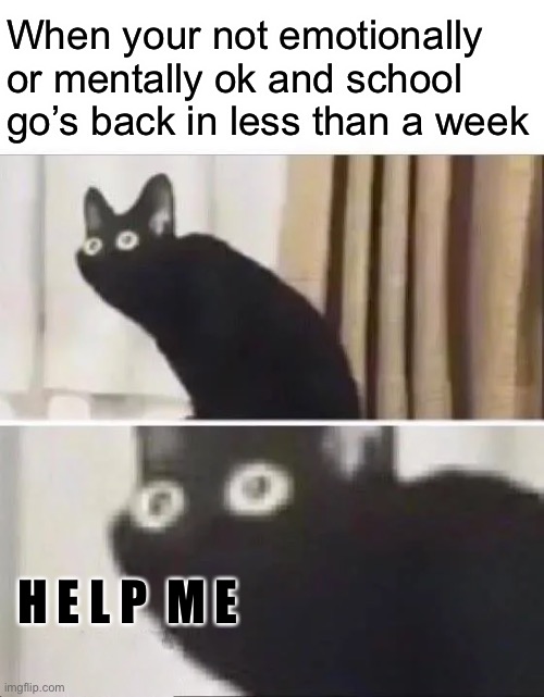 H E L P |  When your not emotionally or mentally ok and school go’s back in less than a week; H E L P  M E | image tagged in oh no black cat,memes,school | made w/ Imgflip meme maker
