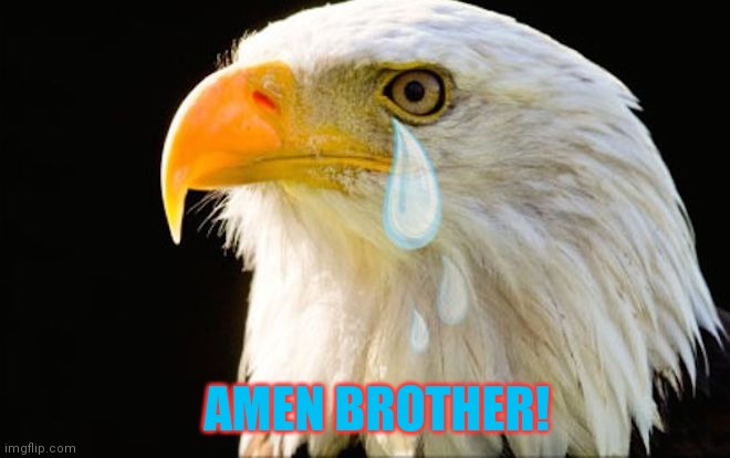 God bless America  | AMEN BROTHER! | image tagged in god bless america | made w/ Imgflip meme maker