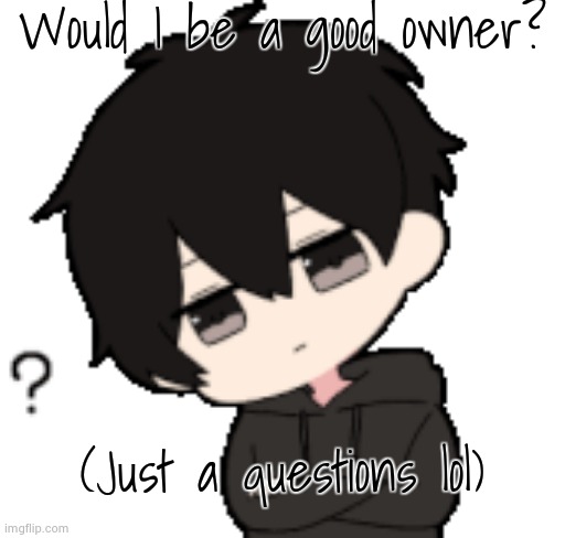 Shadow:What? | Would I be a good owner? (Just a questions lol) | image tagged in shadow what | made w/ Imgflip meme maker