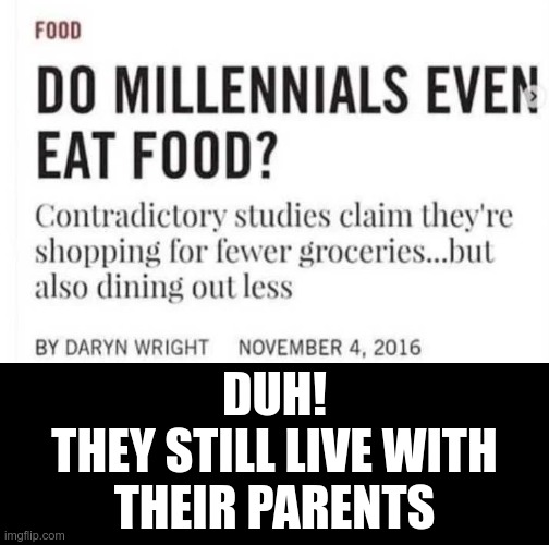 It's like real-life peter pan, they never have to grow up |  DUH!
THEY STILL LIVE WITH THEIR PARENTS | image tagged in millennials | made w/ Imgflip meme maker