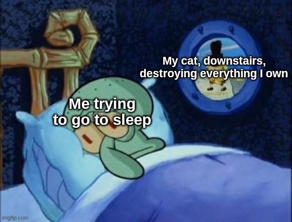 It's so annoying |  My cat, downstairs, destroying everything I own; Me trying to go to sleep | image tagged in squidward trying to sleep,cats,memes | made w/ Imgflip meme maker
