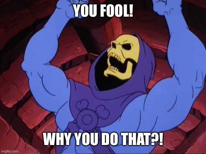 Skeletor | YOU FOOL! WHY YOU DO THAT?! | image tagged in skeletor | made w/ Imgflip meme maker
