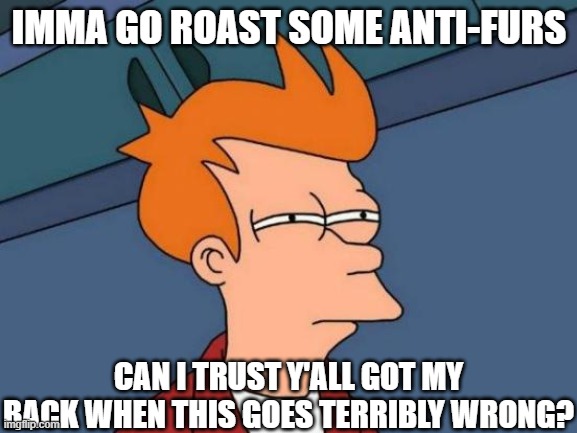 Ex: I know you don’t like me, that says a lot. You need to acquire a better taste.(mod note in comments) | IMMA GO ROAST SOME ANTI-FURS; CAN I TRUST Y'ALL GOT MY BACK WHEN THIS GOES TERRIBLY WRONG? | image tagged in memes,futurama fry,roasting some antis | made w/ Imgflip meme maker