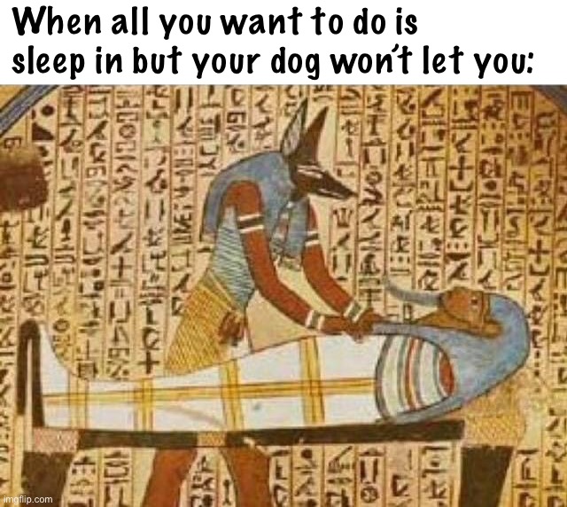Not now, Fido |  When all you want to do is sleep in but your dog won’t let you: | image tagged in sleeping in mummy,dog,mummy,egypt,sleep,dead | made w/ Imgflip meme maker