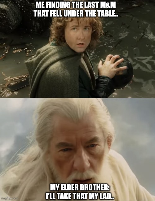 Elder brothers are jerks | ME FINDING THE LAST M&M THAT FELL UNDER THE TABLE.. MY ELDER BROTHER: I'LL TAKE THAT MY LAD.. | image tagged in pippin gandalf i'll take that my lad | made w/ Imgflip meme maker