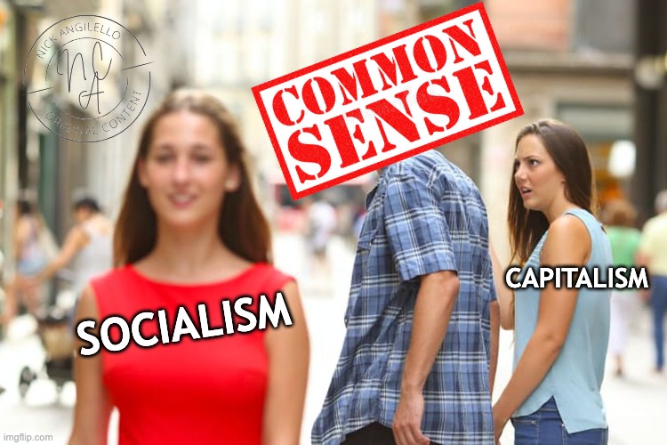 CAPITALISM SUCKS | CAPITALISM; SOCIALISM | image tagged in memes,distracted boyfriend | made w/ Imgflip meme maker