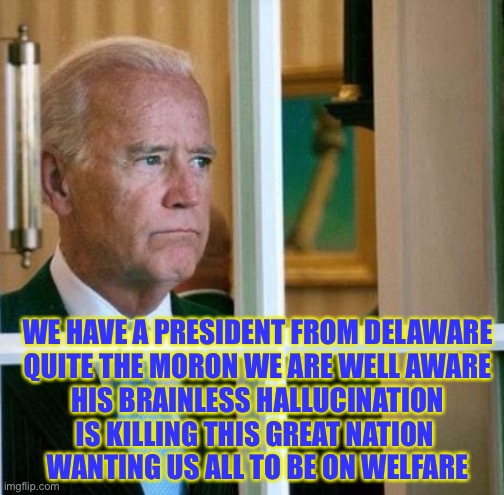 F’n Moron | WE HAVE A PRESIDENT FROM DELAWARE
QUITE THE MORON WE ARE WELL AWARE
HIS BRAINLESS HALLUCINATION
IS KILLING THIS GREAT NATION 
WANTING US ALL TO BE ON WELFARE | image tagged in sad joe biden | made w/ Imgflip meme maker