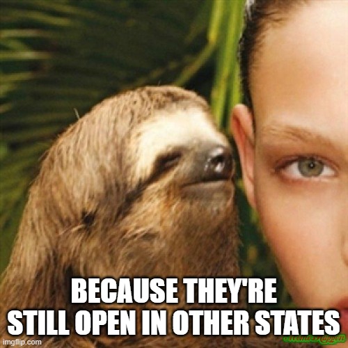 Sloth Whisper | BECAUSE THEY'RE STILL OPEN IN OTHER STATES | image tagged in sloth whisper | made w/ Imgflip meme maker