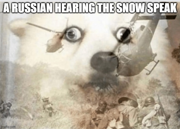 PTSD dog | A RUSSIAN HEARING THE SNOW SPEAK | image tagged in ptsd dog | made w/ Imgflip meme maker