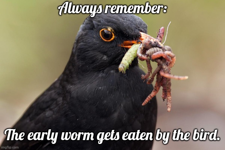 Don't be in such a rush. |  Always remember:; The early worm gets eaten by the bird. | image tagged in bird brought snacks,predator,breakfast,demotivational,carnivores,fast food | made w/ Imgflip meme maker