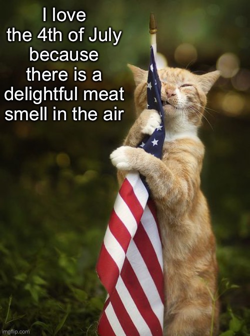 Happy 4th of July! | I love the 4th of July because there is a delightful meat smell in the air | image tagged in funny memes,funny cat memes,4th of july | made w/ Imgflip meme maker