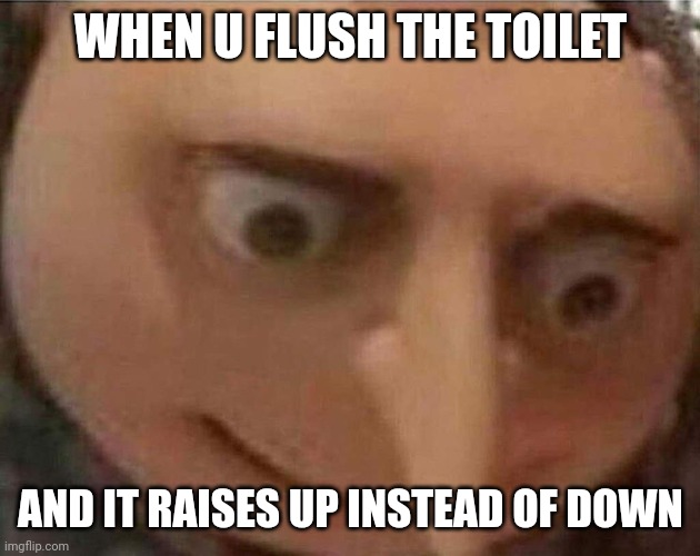 gru meme | WHEN U FLUSH THE TOILET; AND IT RAISES UP INSTEAD OF DOWN | image tagged in gru meme,toilet | made w/ Imgflip meme maker