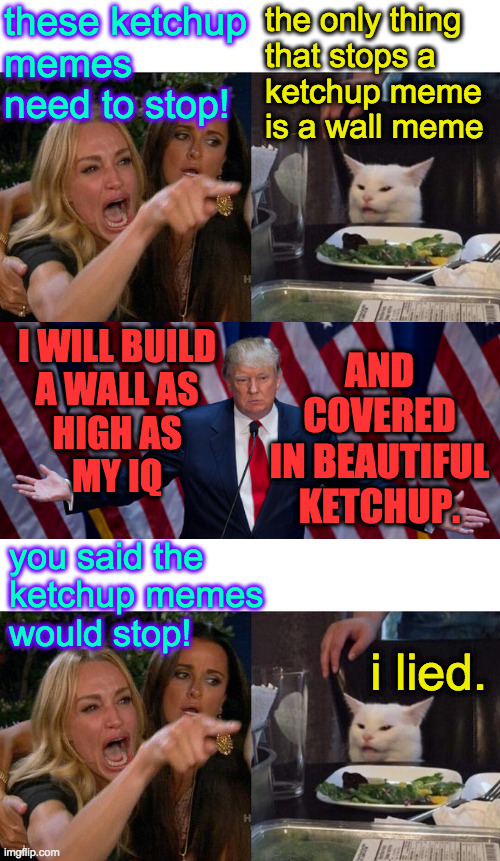 Ketchup and wall.  Two memes that go great together  ( : | these ketchup
memes
need to stop! the only thing
that stops a
ketchup meme
is a wall meme I WILL BUILD
A WALL AS
HIGH AS
MY IQ AND
COVERED
I | image tagged in memes,woman yelling at cat,donald trump,ketchup and wall | made w/ Imgflip meme maker