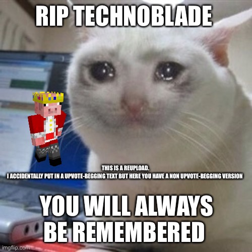 Crying cat | RIP TECHNOBLADE; THIS IS A REUPLOAD.
I ACCIDENTALLY PUT IN A UPVOTE-BEGGING TEXT BUT HERE YOU HAVE A NON UPVOTE-BEGGING VERSION; YOU WILL ALWAYS BE REMEMBERED | image tagged in crying cat | made w/ Imgflip meme maker