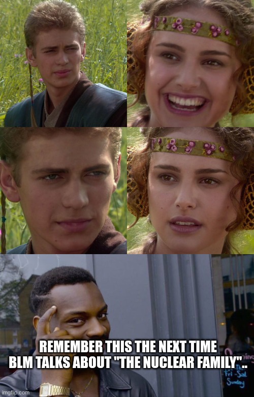 And the next time you get "shot" down. | REMEMBER THIS THE NEXT TIME BLM TALKS ABOUT "THE NUCLEAR FAMILY".. | image tagged in anakin padme 4 panel,memes,roll safe think about it | made w/ Imgflip meme maker