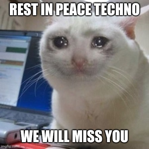 Crying cat | REST IN PEACE TECHNO WE WILL MISS YOU | image tagged in crying cat | made w/ Imgflip meme maker