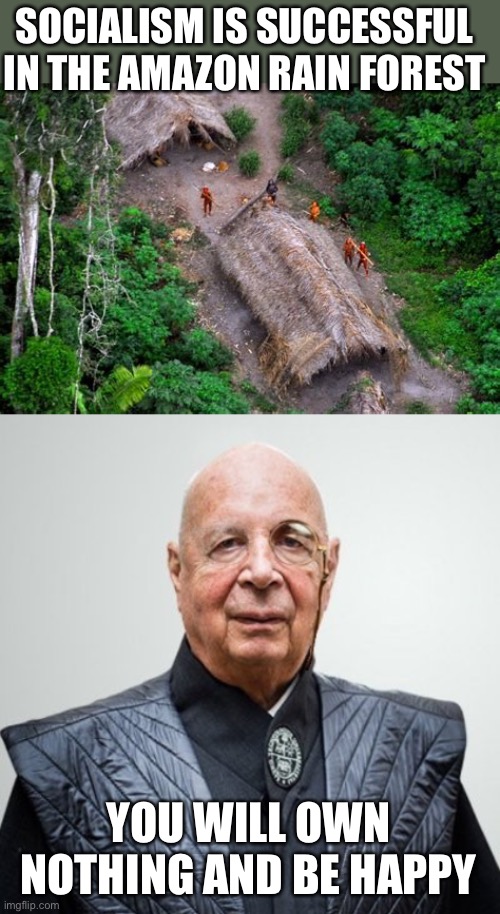 Socialism works, if you are ok having only a roof over your head and eating monkey meat. | SOCIALISM IS SUCCESSFUL IN THE AMAZON RAIN FOREST; YOU WILL OWN NOTHING AND BE HAPPY | image tagged in klaus schwab,socialism,own nothing,amazon tribe | made w/ Imgflip meme maker