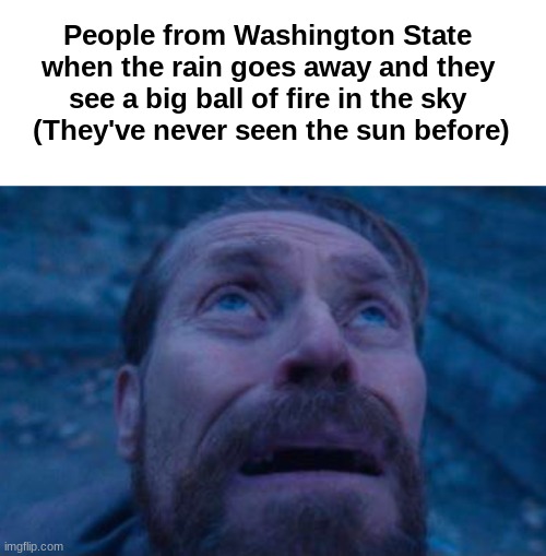 This is once in a lifetime occurrence for the average resident of Washington State | People from Washington State when the rain goes away and they see a big ball of fire in the sky   (They've never seen the sun before) | image tagged in willem dafoe looking up,washington state,why are you reading this | made w/ Imgflip meme maker