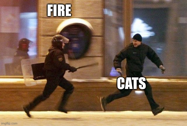 Police Chasing Guy | FIRE CATS | image tagged in police chasing guy | made w/ Imgflip meme maker