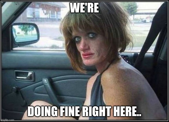 Ugly meth heroin addict Prostitute hoe in car | WE'RE DOING FINE RIGHT HERE.. | image tagged in ugly meth heroin addict prostitute hoe in car | made w/ Imgflip meme maker