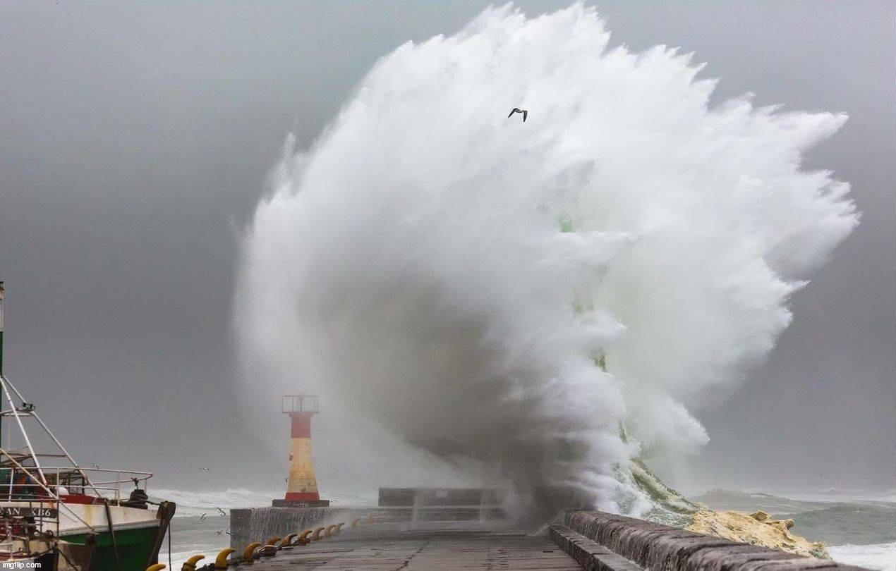 image tagged in awesome | made w/ Imgflip meme maker