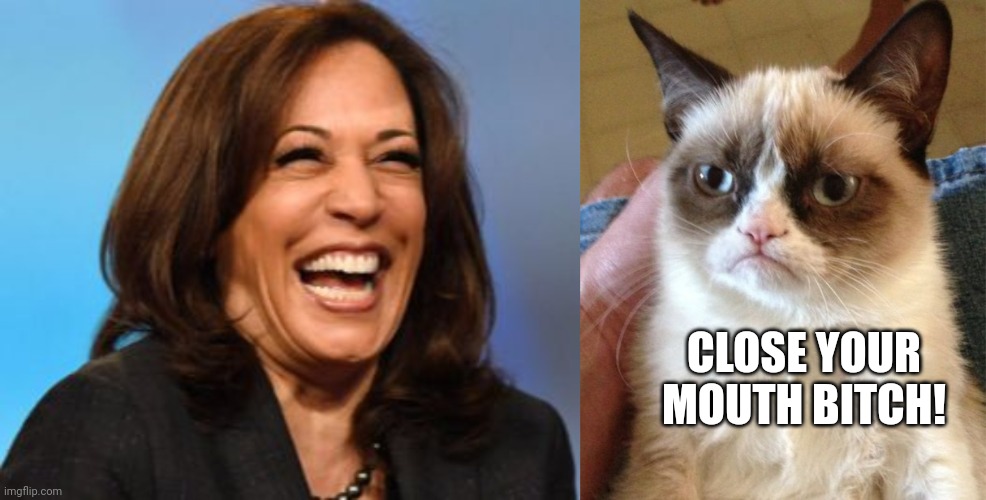 CLOSE YOUR MOUTH BITCH! | image tagged in memes,grumpy cat,cackling,kamala harris,shut up | made w/ Imgflip meme maker