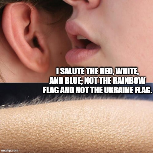 For genuine patriots. | I SALUTE THE RED, WHITE, AND BLUE; NOT THE RAINBOW FLAG AND NOT THE UKRAINE FLAG. | image tagged in whisper and goosebumps | made w/ Imgflip meme maker