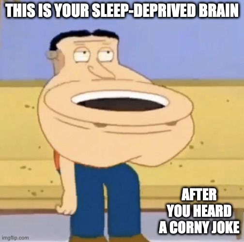 Toliet Mouthed-Quagmire | THIS IS YOUR SLEEP-DEPRIVED BRAIN; AFTER YOU HEARD A CORNY JOKE | image tagged in family guy,quagmire family guy,memes | made w/ Imgflip meme maker