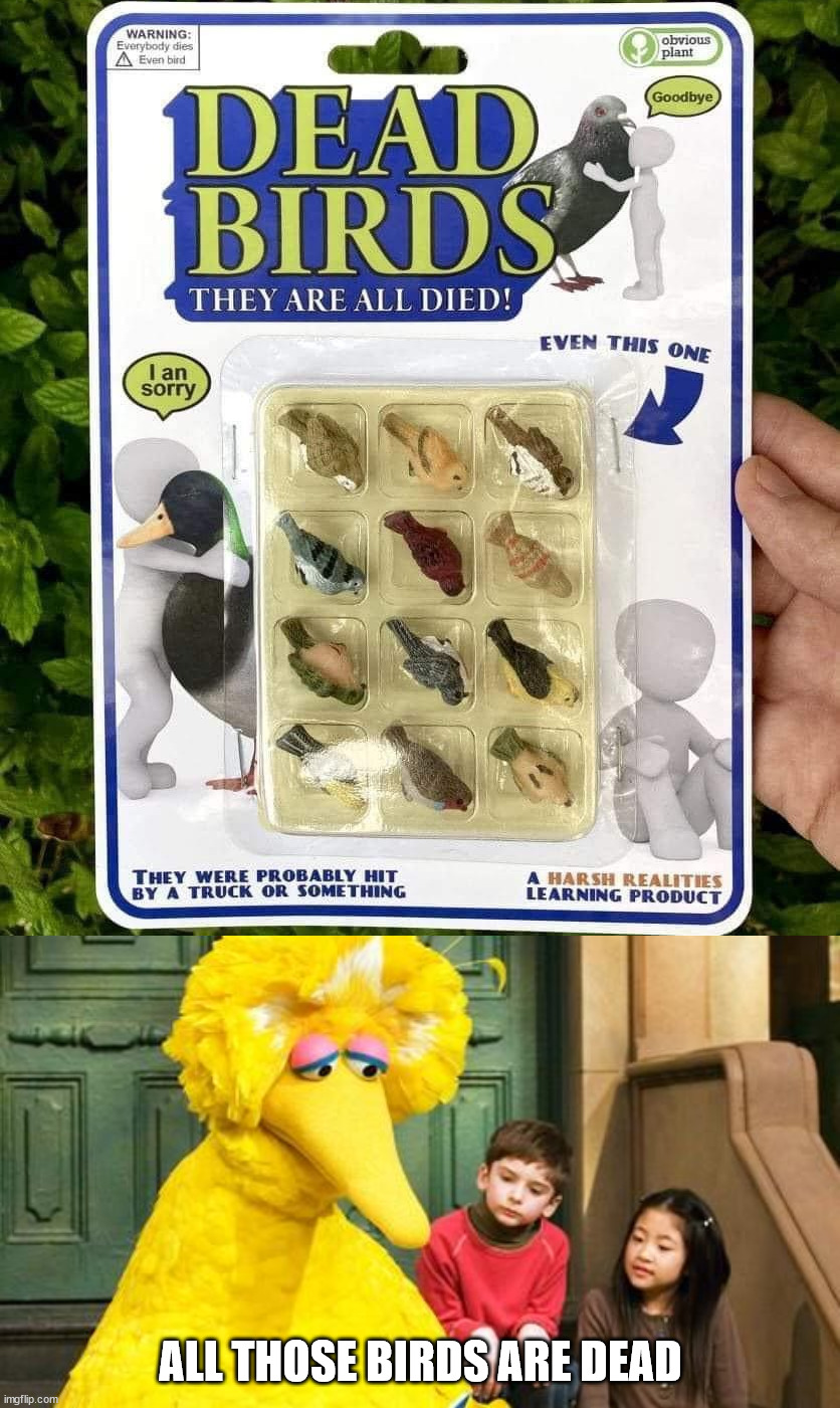 ALL THOSE BIRDS ARE DEAD | image tagged in sad big bird,fake | made w/ Imgflip meme maker